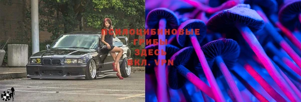 прущие грибы Богородск