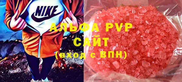 твердый Богданович