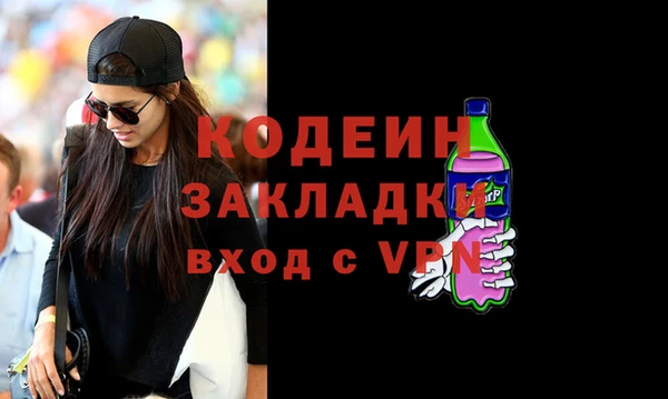 индика Бронницы