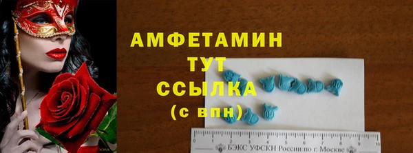индика Бронницы