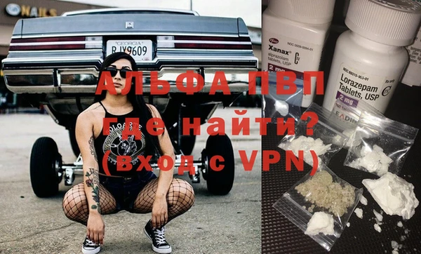 сатива Белокуриха