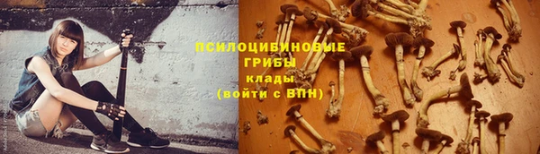 сатива Белокуриха