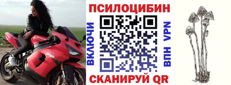 где найти   Горнозаводск  мега ССЫЛКА  Псилоцибиновые грибы мицелий 